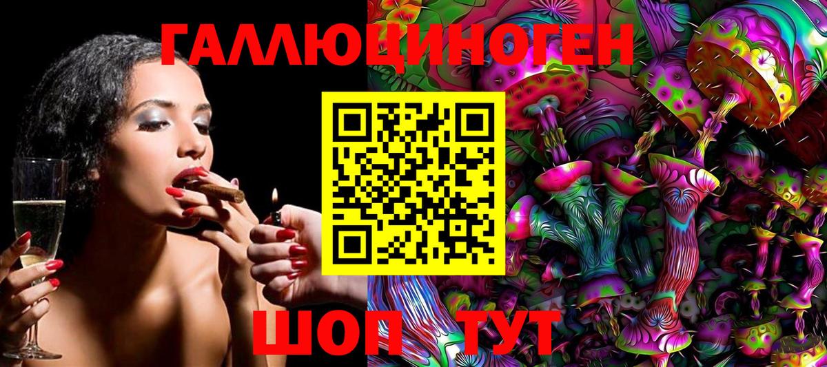 Димитровград  Галлюциногенные грибы прущие грибы  Вход с VPN 
